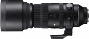 Sigma 150-600mm F5-6.3 DG DN Lens