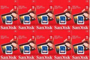 SanDisk 16GB SD Card Bundle SDSDB-016G-B35