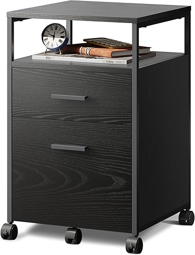 DEVAISE 2 Drawer File Cabinet Mobile Printer Stand