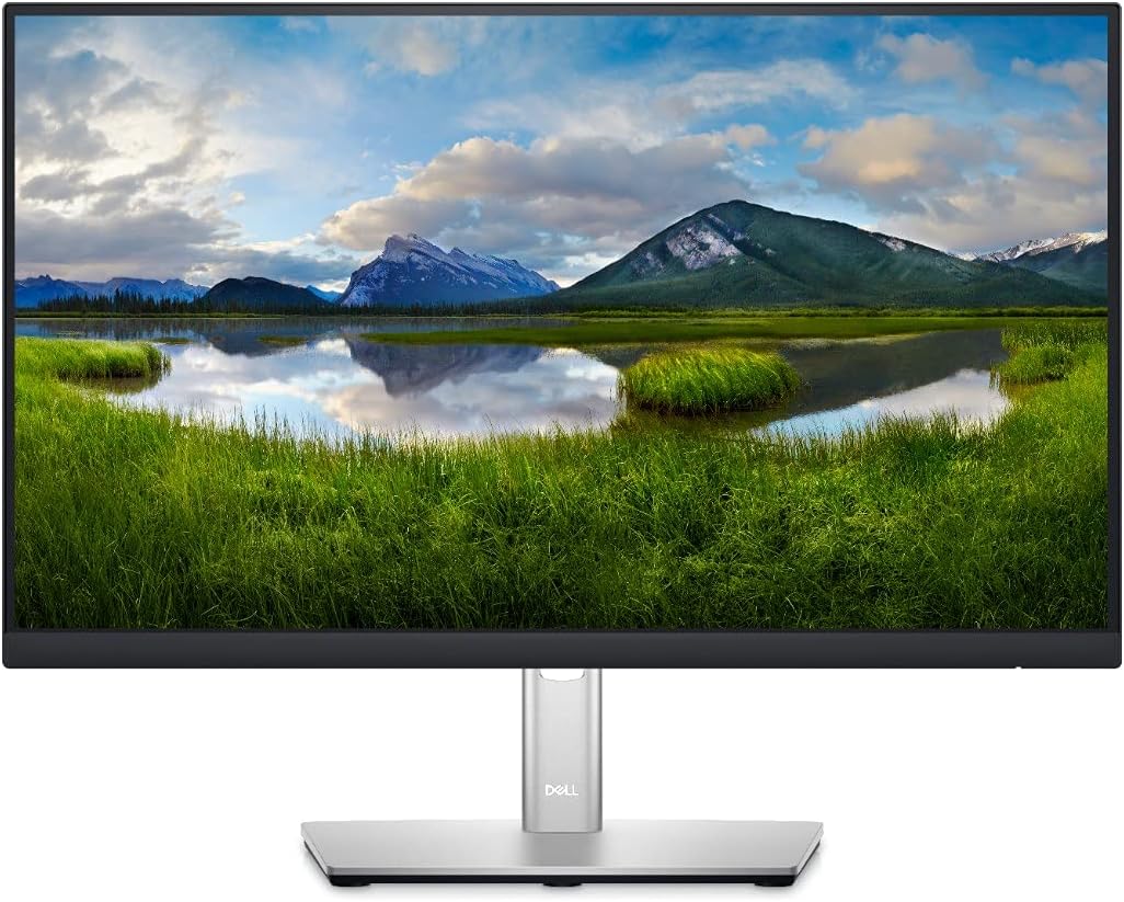 Dell 22" Monitor - P2222H, Full HD IPS