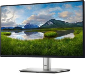 Dell 24" Full HD Monitor P2422H