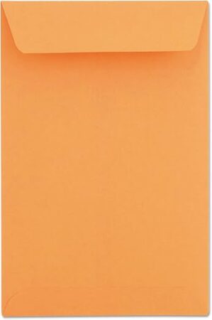 Universal 40105 Catalog Envelope, 6 x 9, Kraft