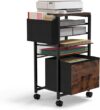 MoKo 5-Tiered File Cart With Wheels