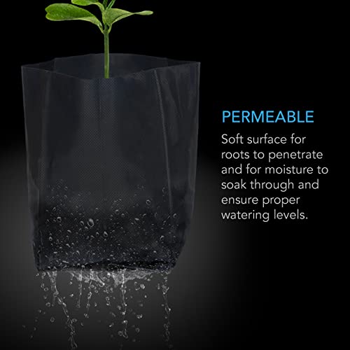 AC Infinity Nursery Bags 1/2 Gallon, 50-Pack Biodegradable Plant Pots - Image 4