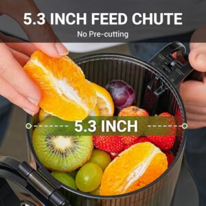 amzchef Self-Feeding Masticating Juicer, 5.3-Inch
