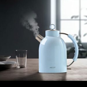 ASCOT Ascot Stainless Steel Electric Kettle