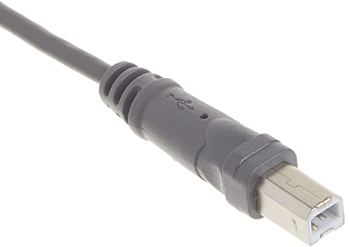 Belkin USB A/B Device Daisy Chain (6 Inches) - Image 3