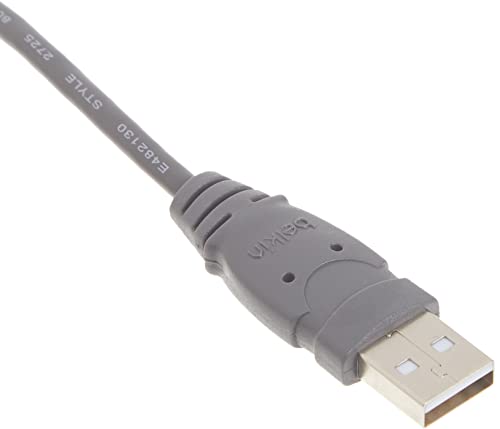 Belkin USB A/B Device Daisy Chain (6 Inches) - Image 4