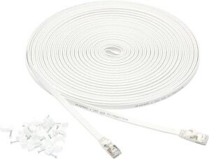 Amazon Basics Cat 7 Ethernet Patch Cable, Flat, 50 Foot