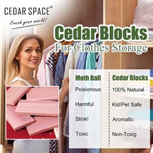 Cedar Space Cedar Blocks For Closet Storage, 16pcs