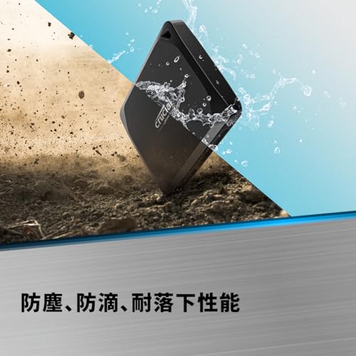 Crucial X10 Pro USB 3.2 Type-C SSD - 1TB - Image 4
