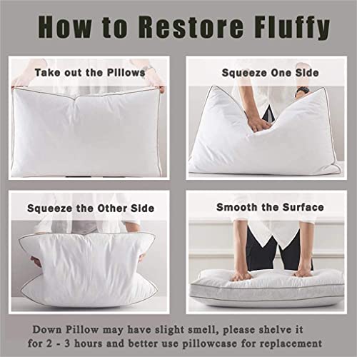 ghghnrtgefrgnhnxdf White Goose Down Hotel Pillow (60*60cm) - Image 4