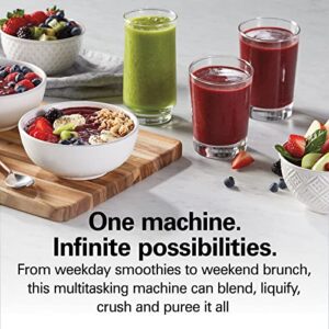 Hamilton Beach PowerMax Professional Blender, 1680 Watts (58600)
