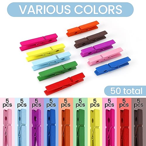 HONGYUTAI Colored Wooden Clothespins, 50PCS, 2.9inch - Image 3