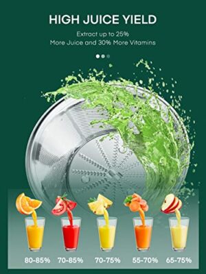 HOUSNAT Juicer Machine, Centrifugal Juicer 400W, 65MM Chute