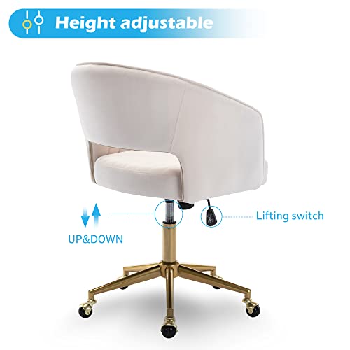 KCC Velvet Swivel Desk Chair with Gold Base - Image 4