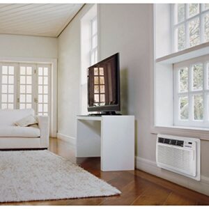 LG 10,000 BTU Through Wall Air Conditioner