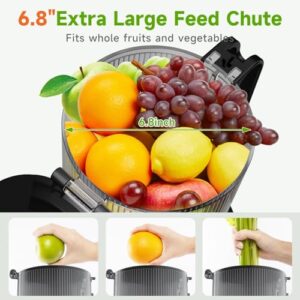 LUIXXN Cold Press Juicer, 6.8″ Large Chute