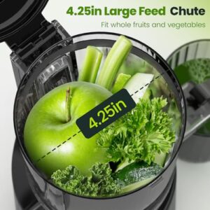 Nuovoware Cold Press Juicer With Large Chute