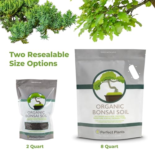 PERFECT PLANTS Bonsai Soil - Premium All-Purpose Mix - Image 4