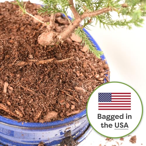 PERFECT PLANTS Bonsai Soil - Premium All-Purpose Mix - Image 5