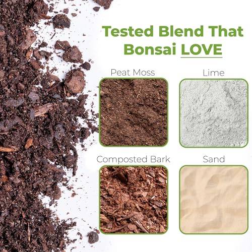 PERFECT PLANTS Bonsai Soil - Premium All-Purpose Mix - Image 2