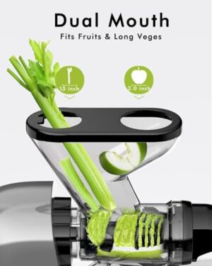 SIFENE Cold Press Juicer Machine, Compact Slow Masticating Juicer