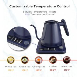 Tisanio Gooseneck Electric Kettle, Variable Temp Control