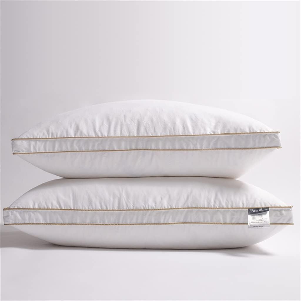 ghghnrtgefrgnhnxdf White Goose Down Hotel Pillow (60*60cm)