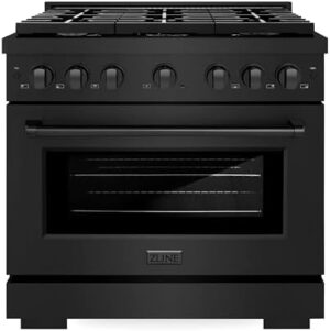 ZLINE Paramount Gas Range With Convection Oven (SGRB-36)