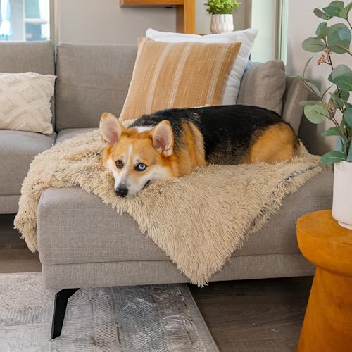 Best Friends by Sheri Calming Shag Dog Blanket, Taupe - Image 5