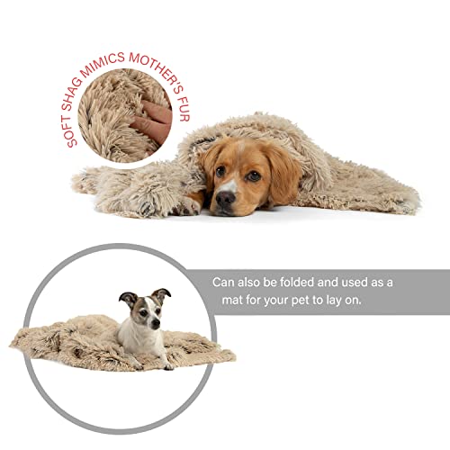 Best Friends by Sheri Calming Shag Dog Blanket, Taupe - Image 2