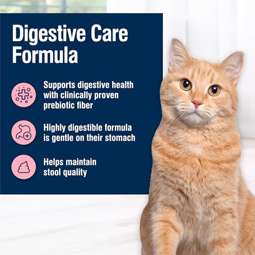 Blue Buffalo Blissful Belly Digestive Care Chicken Wet Cat Food - Image 4