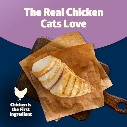 Blue Buffalo Freedom Grain-Free Adult Cat Food, Chicken Recipe - Image 5