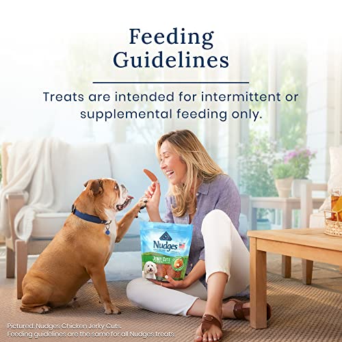 Blue Buffalo Homestyle Natural Dog Treats, Beef & Rice - Image 5