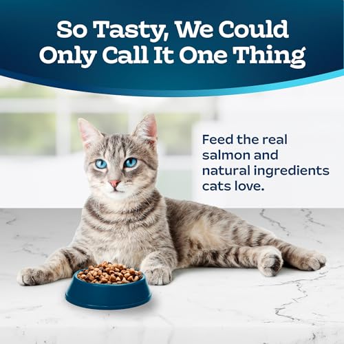 Blue Buffalo Salmon & Brown Rice Dry Cat Food - Image 3