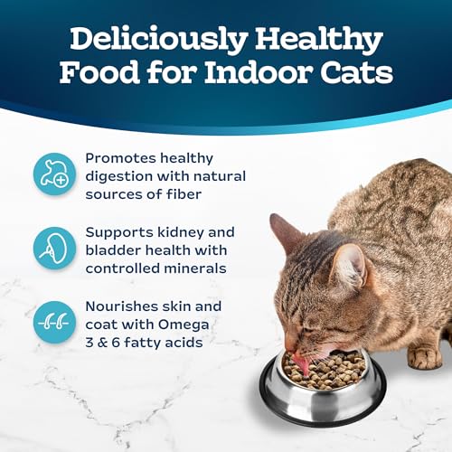 Blue Buffalo Salmon & Brown Rice Dry Cat Food - Image 5
