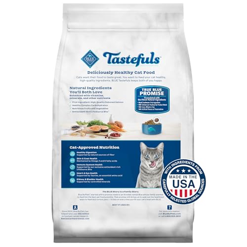 Blue Buffalo Salmon & Brown Rice Dry Cat Food - Image 2