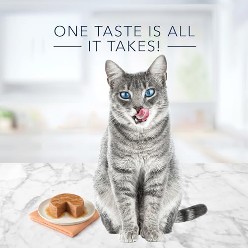 Blue Buffalo Tastefuls Natural Pate Wet Cat Food Variety Pack - Image 4