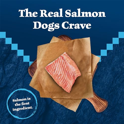 Blue Buffalo Wilderness Trail Salmon Dog Treats - Image 3