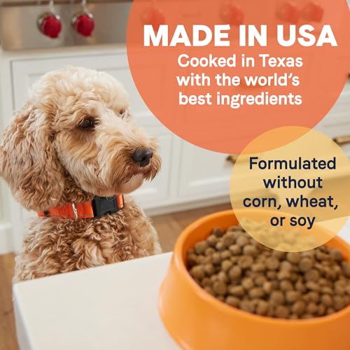 CANIDAE Lamb Meal & Rice Formula Dog Food - Image 5
