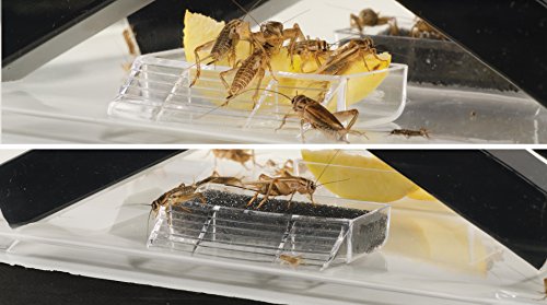 Exo Terra Cricket Pen, Small, 18 Cm X 14 Cm X 11 Cm - Image 4