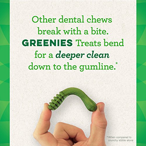 Greenies Regular Dental Care Dog Treats, Fresh Flavor - Image 4