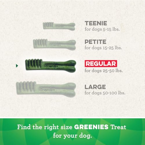 Greenies Regular Dental Care Dog Treats, Fresh Flavor - Image 5