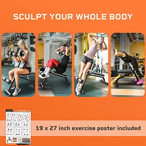 LifePro Roman Chair Hyperextension Bench, Adjustable Exercise Equipment - Image 3