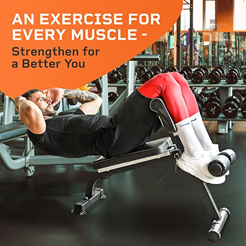 LifePro Roman Chair Hyperextension Bench, Adjustable Exercise Equipment - Image 4