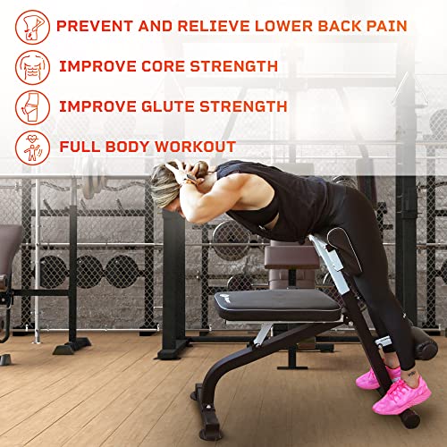 LifePro Roman Chair Hyperextension Bench, Adjustable Exercise Equipment - Image 2