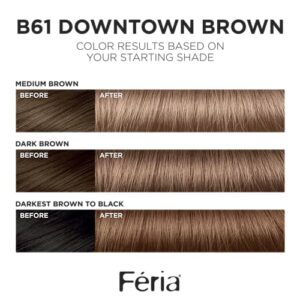 L’Oreal Paris Feria Multi-Faceted Shimmering Hair Color, B61