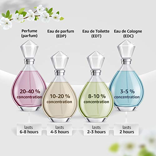 Men's Eau De Toilette Spray, Citrus Woody Fragrance - Image 4