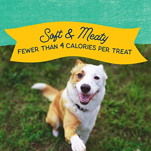 Natural Balance Mini-Rewards Chicken Grain-Free Dog Treats - Image 4